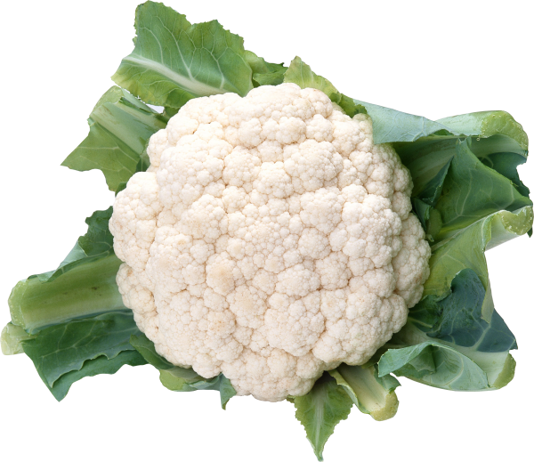 Cabbage PNG free Image Download 46