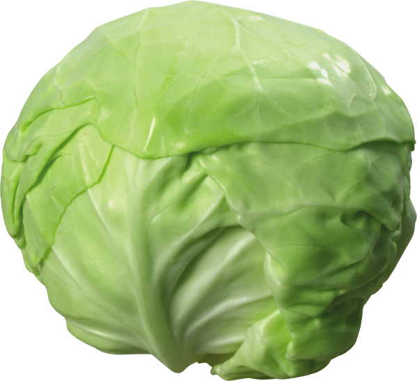 Cabbage PNG free Image Download 7