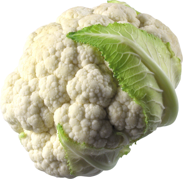 cauliflower PNG free Image Download 12