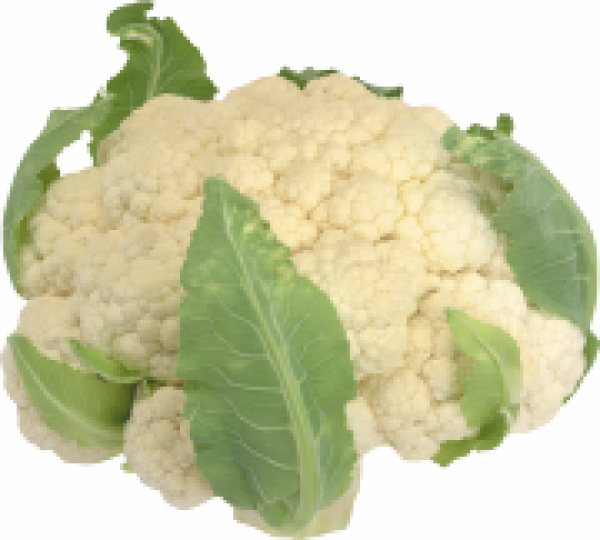 cauliflower PNG free Image Download 16