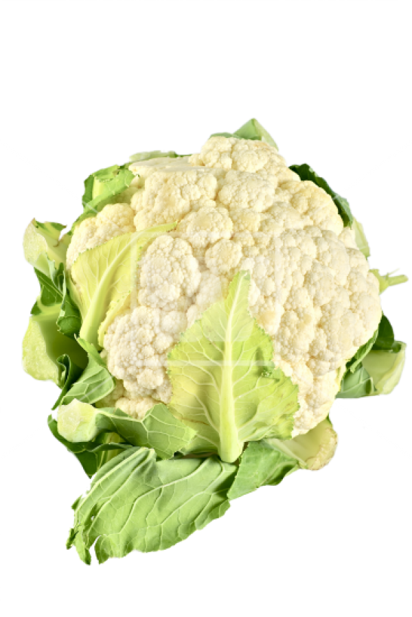 cauliflower PNG free Image Download 21