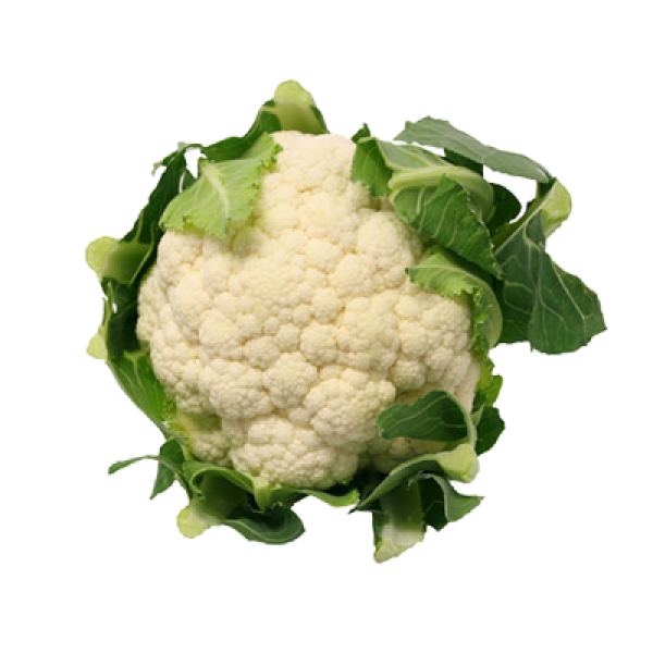cauliflower PNG free Image Download 22