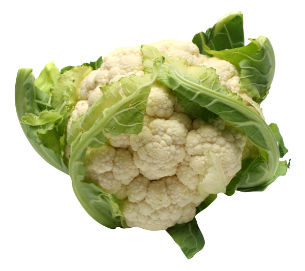 cauliflower PNG free Image Download 25