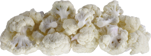 cauliflower PNG free Image Download 9