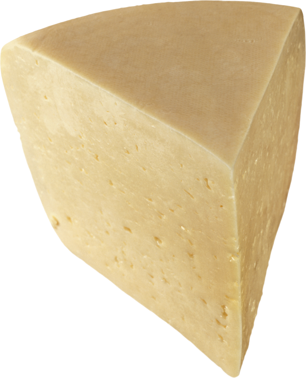cheese PNG free Image Download 1