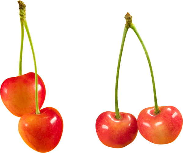 cherry png free download 10