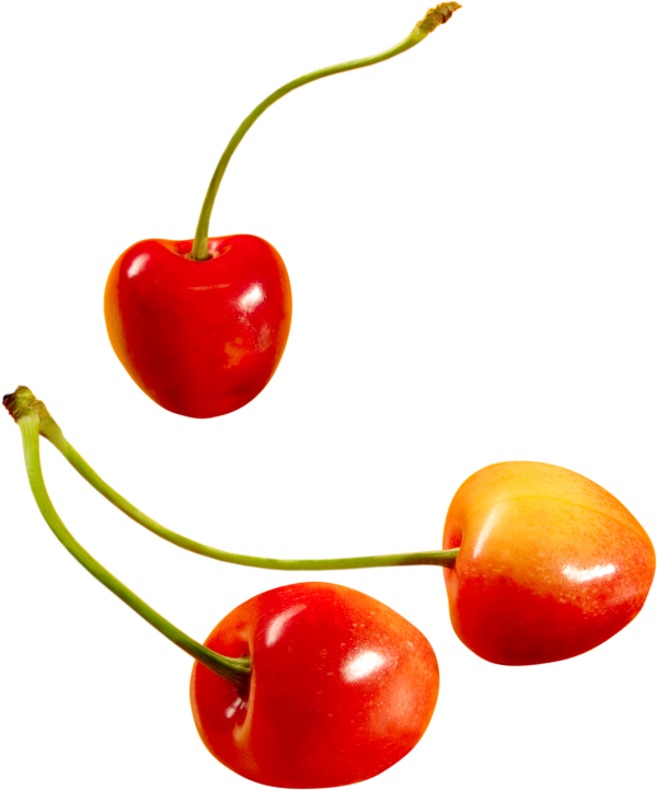 cherry png free download 11