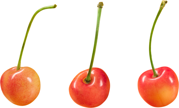 cherry png free download 12