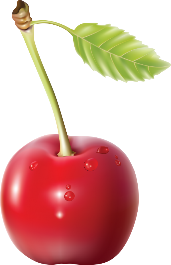 cherry png free download 20