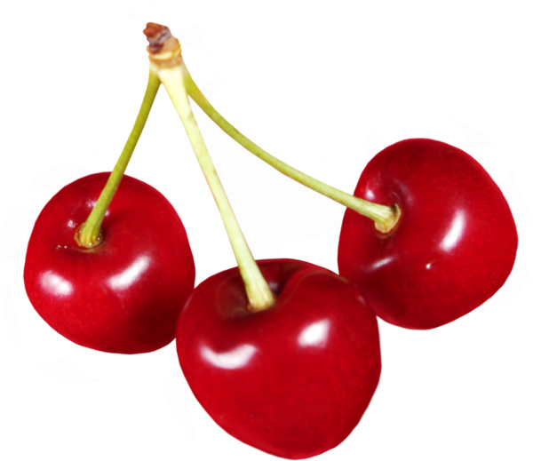 cherry png free download 21