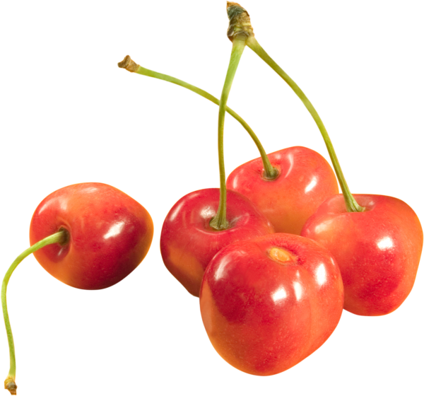 cherry png free download 22