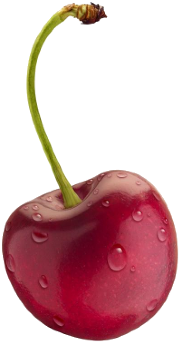 cherry png free download 36