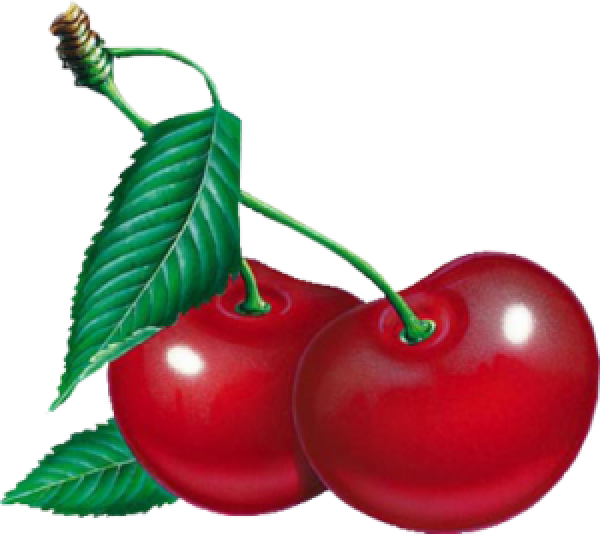 cherry png free download 37