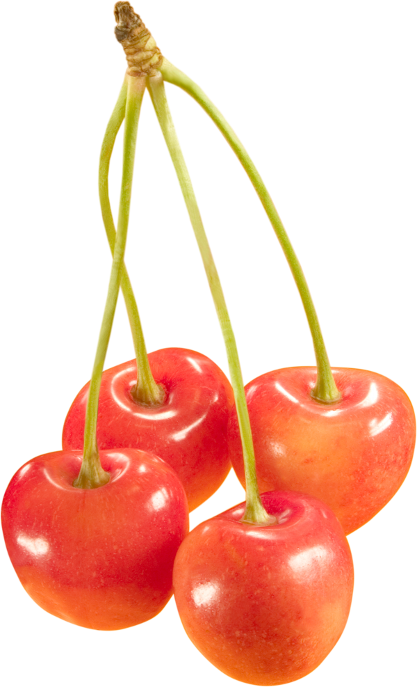 cherry png free download 8