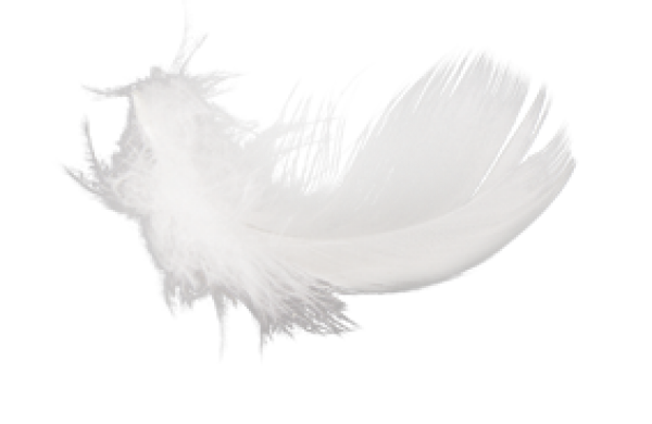 Cloud Like Feather Png