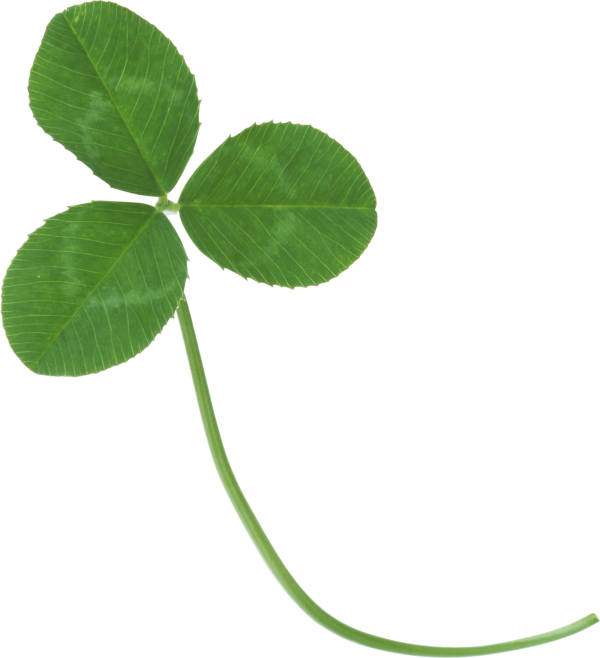 clover png free download 4