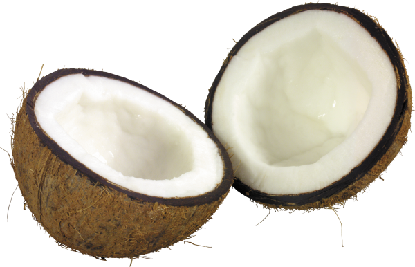 coconut png free download 11