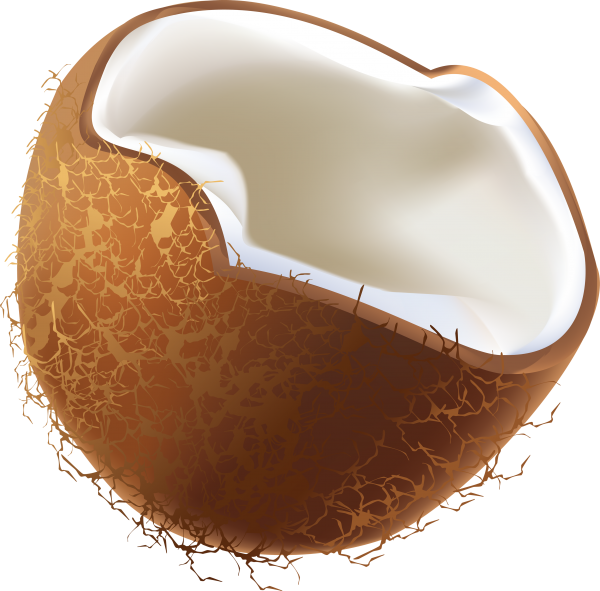 coconut png free download 12