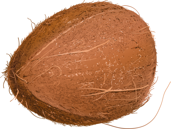 coconut png free download 15
