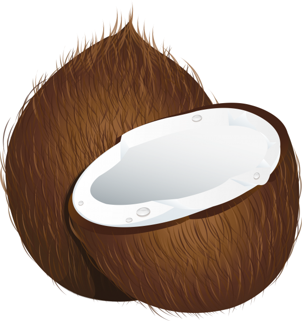 coconut png free download 18