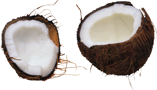 coconut png free download 2