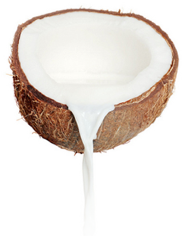 coconut png free download 20
