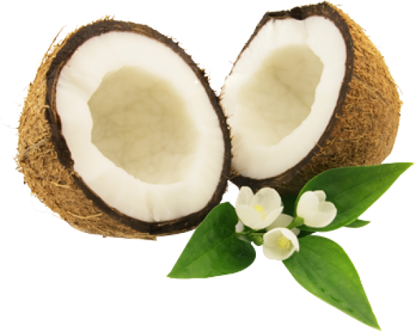 coconut png free download 22
