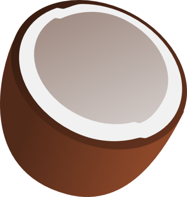 coconut png free download 24