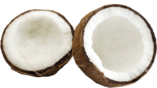 coconut png free download 29
