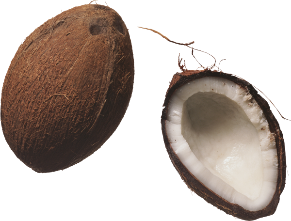 coconut png free download 3