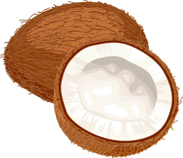 coconut png free download 30