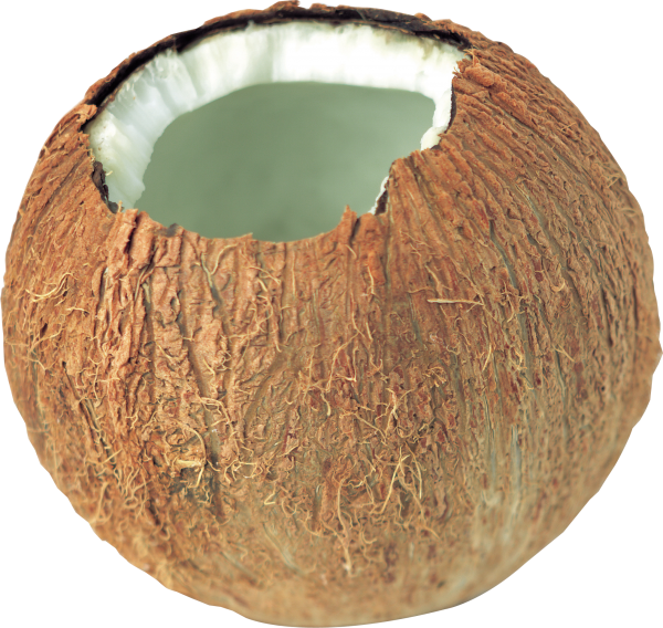 coconut png free download 5