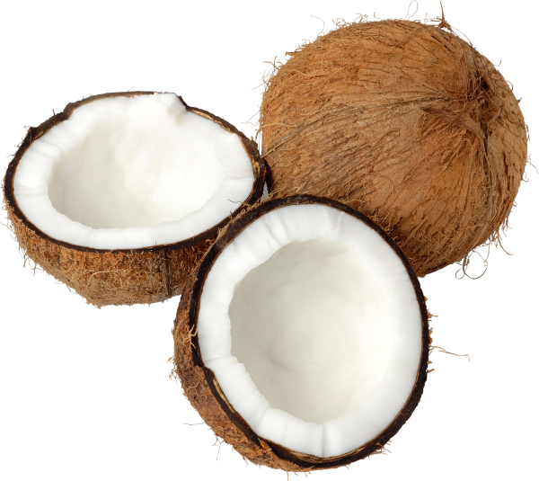 coconut png free download 6
