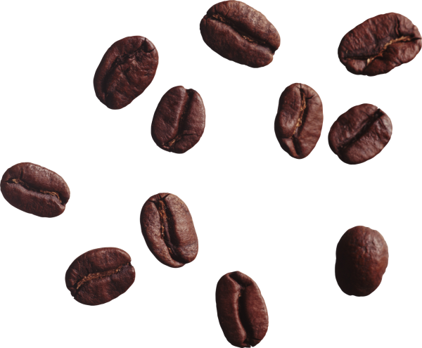 coffee beans png free download 1