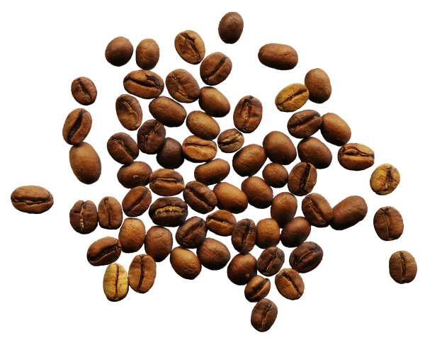 coffee beans png free download 10