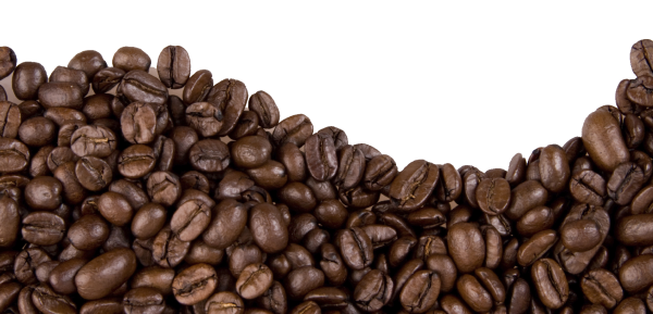 coffee beans png free download 11