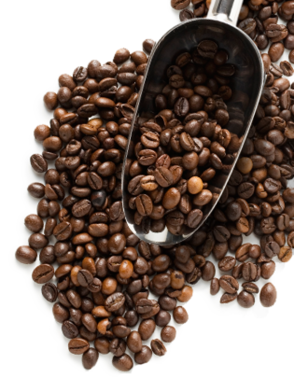 coffee beans png free download 12 | PNG Images Download | coffee beans
