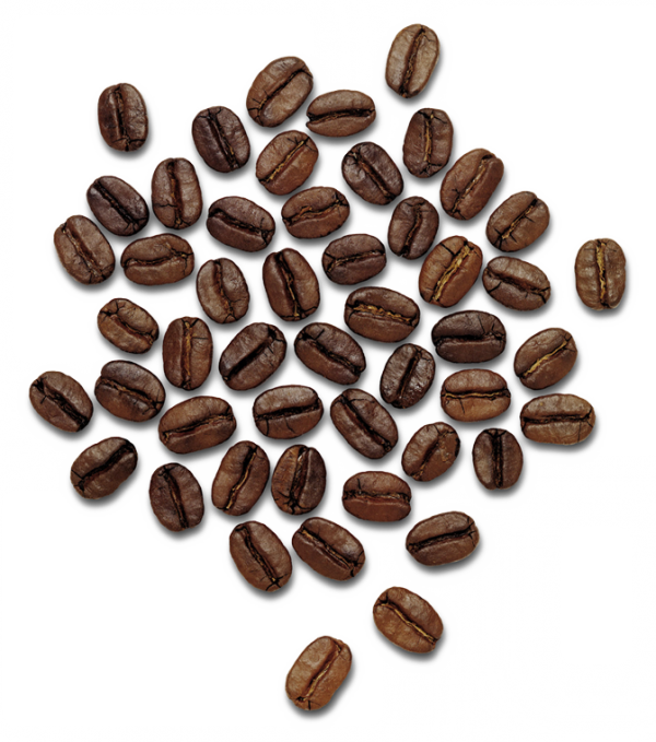 coffee beans png free download 13