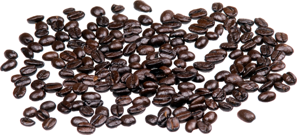 coffee beans png free download 17