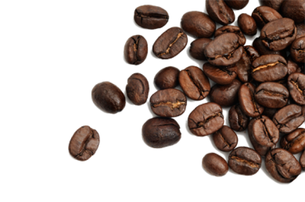 coffee beans png free download 18