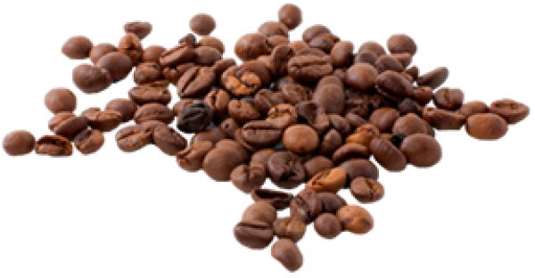 coffee beans png free download 19