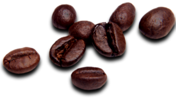 coffee beans png free download 20