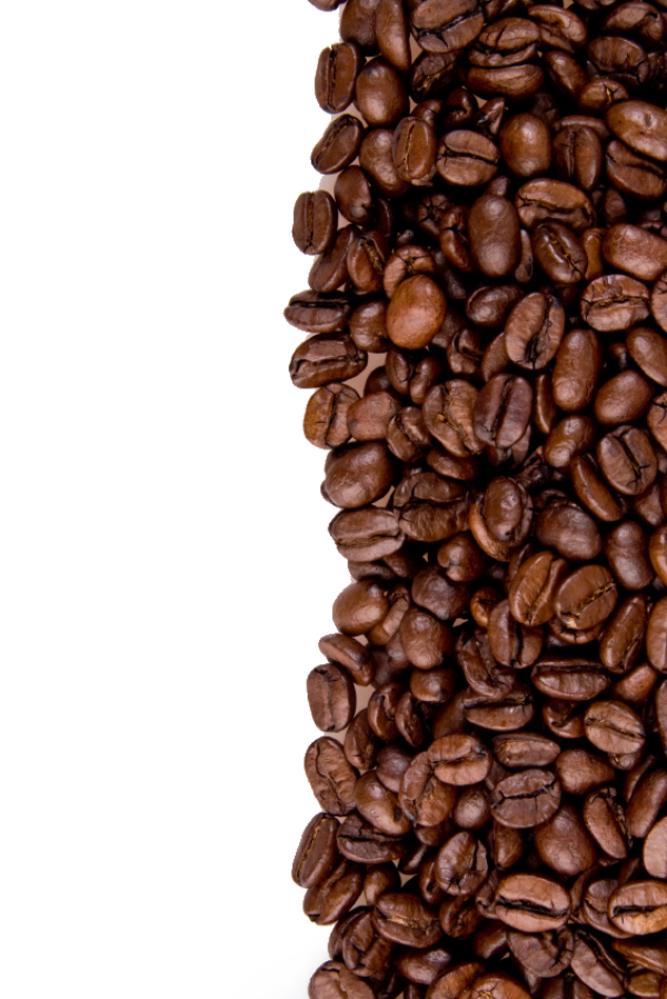 coffee beans png free download 21