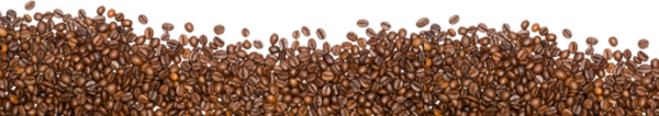 coffee beans png free download 23