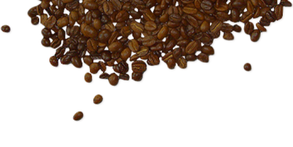 coffee beans png free download 26