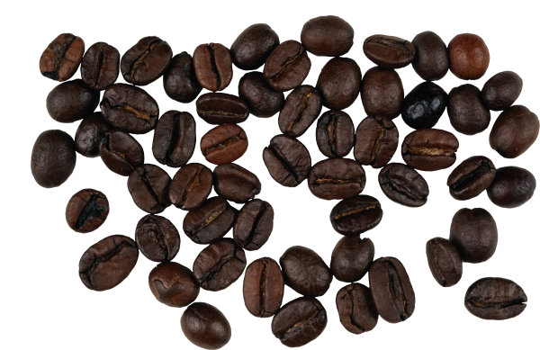 coffee beans png free download 5