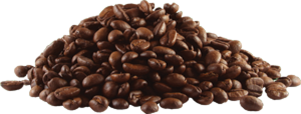coffee beans png free download 9