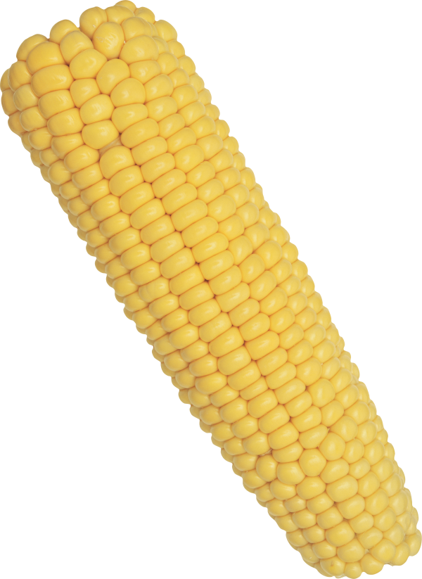 corn png free download 10