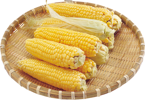 corn png free download 21