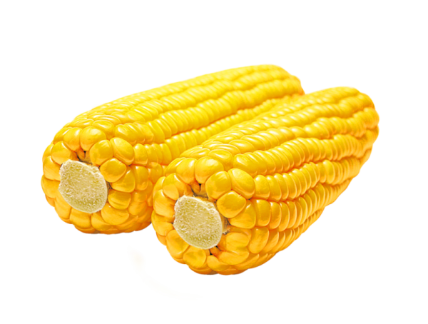 corn png free download 22